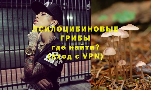 гидропоника Навашино