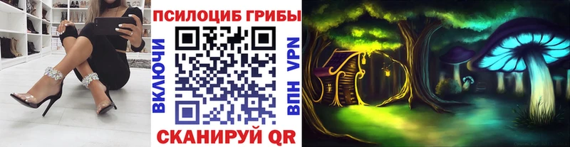 цена наркотик  мега вход  Галлюциногенные грибы Psilocybine cubensis  Мураши 