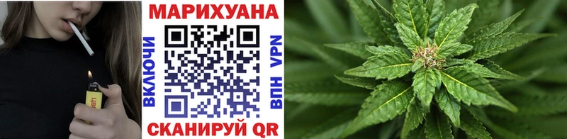 МЕГА как войти Мураши Каннабис индика